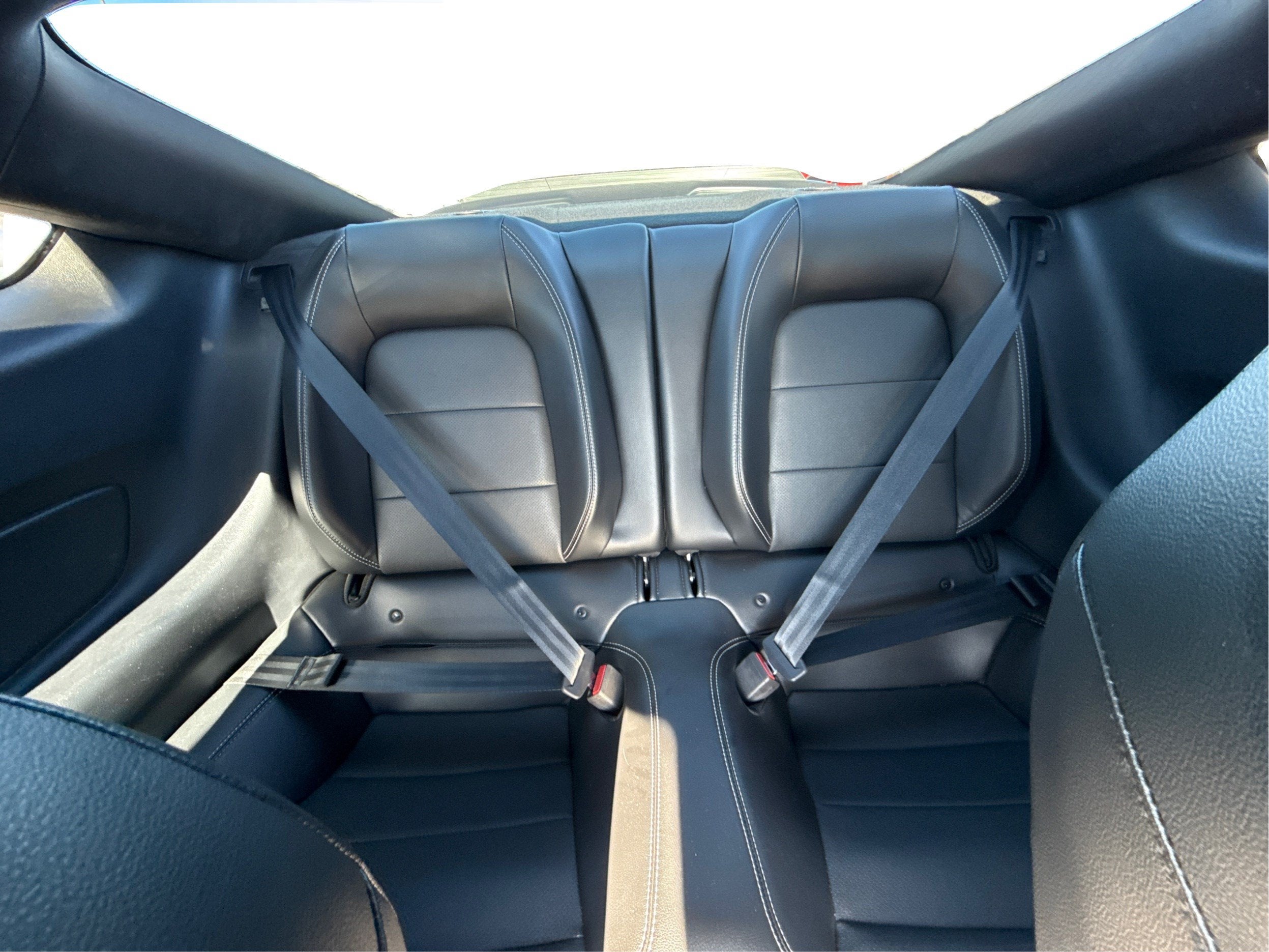 2022 Ford Mustang Mach 1 Fastback