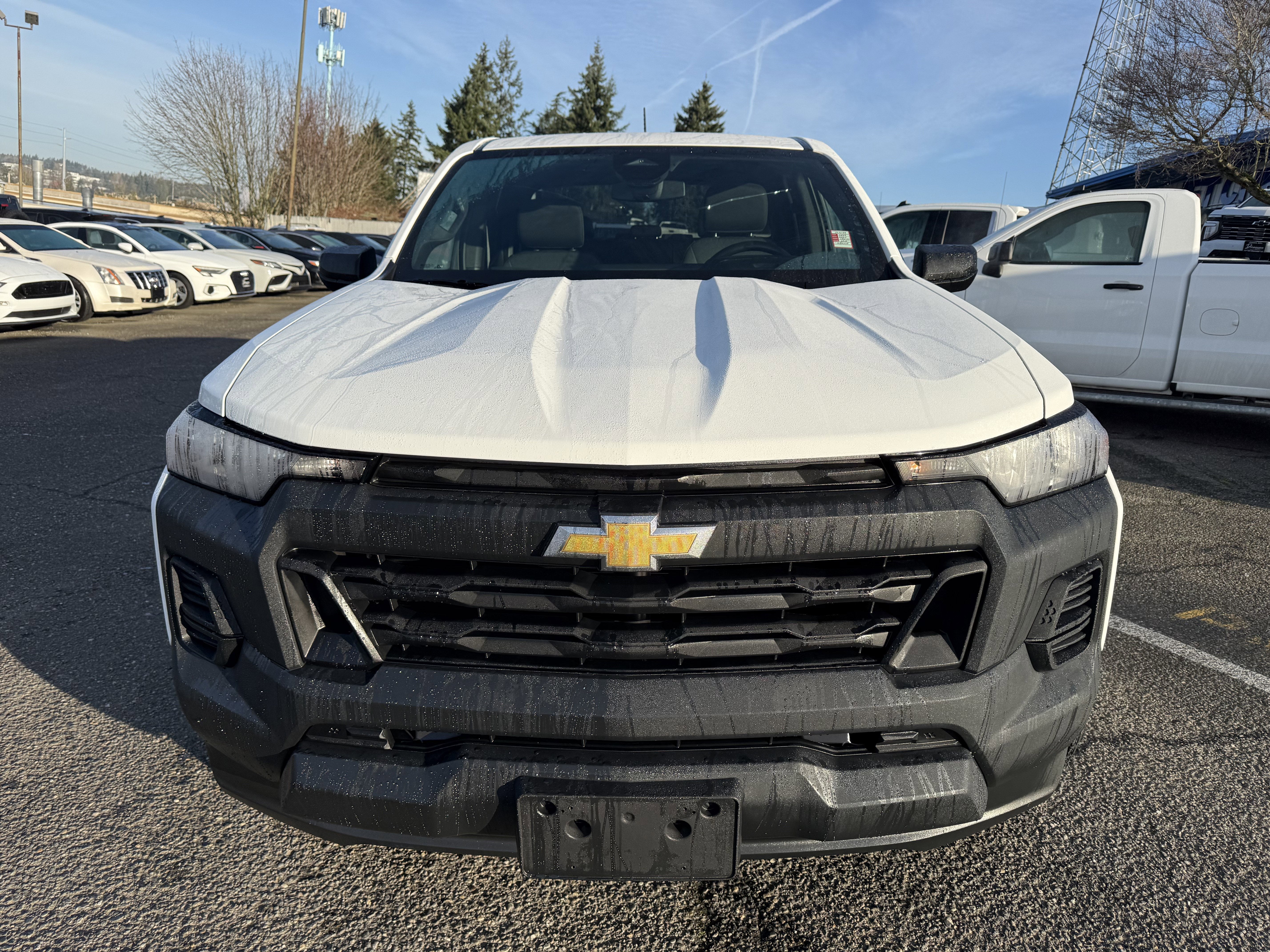 2024 Chevrolet Colorado WT