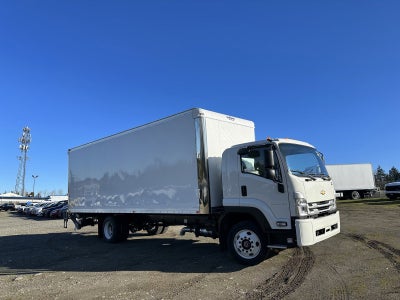 2024 Chevrolet Low Cab Forward 6500 XD Base