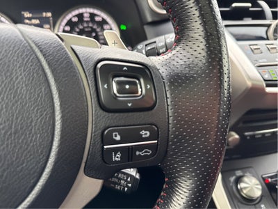 2021 Lexus NX 300 F SPORT