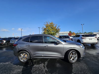 2024 Ford Escape ST-Line AWD