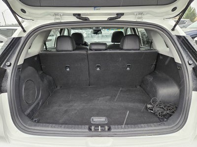 2019 Kia Niro EV EX Premium