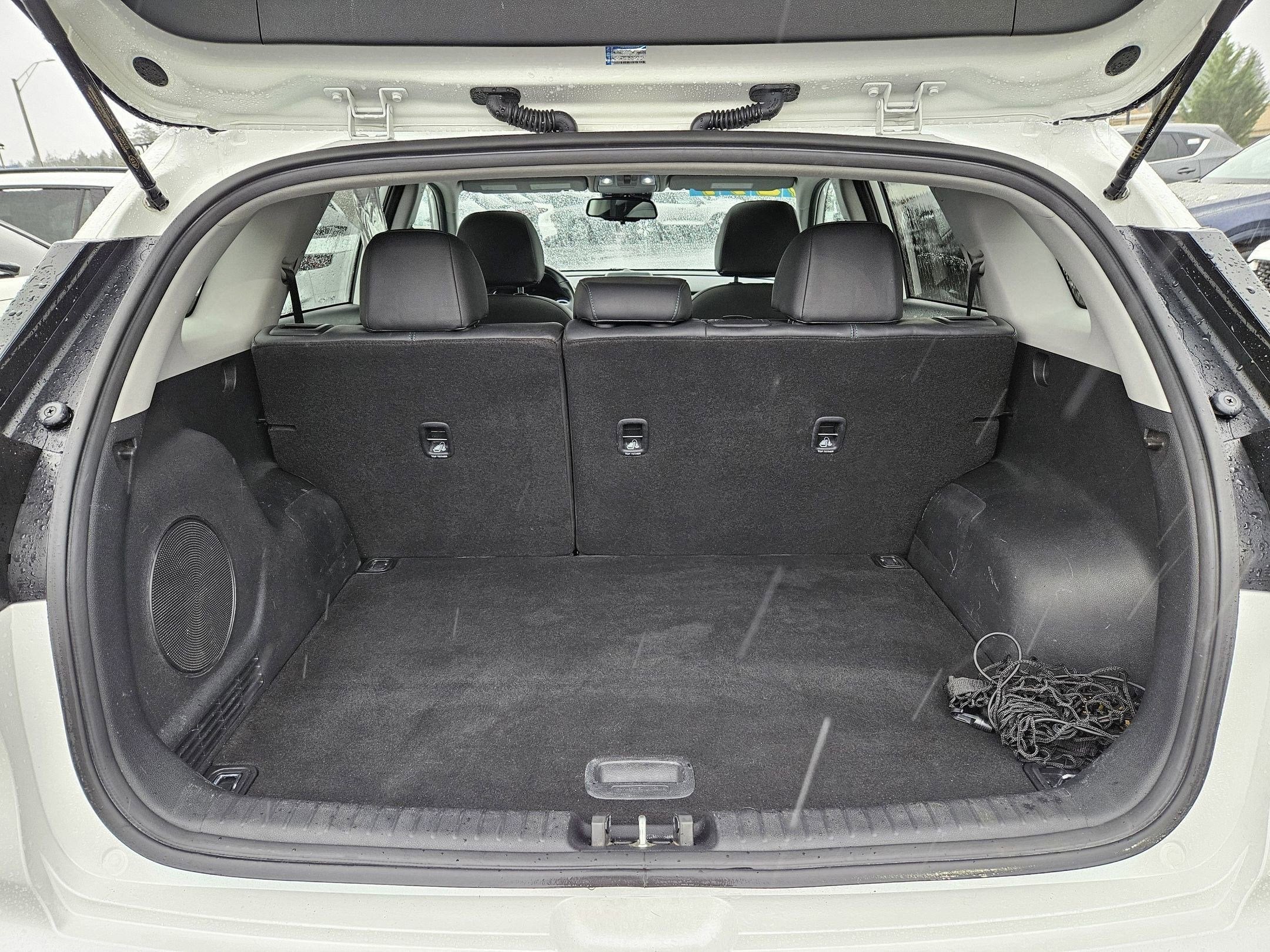 2019 Kia Niro EV EX Premium