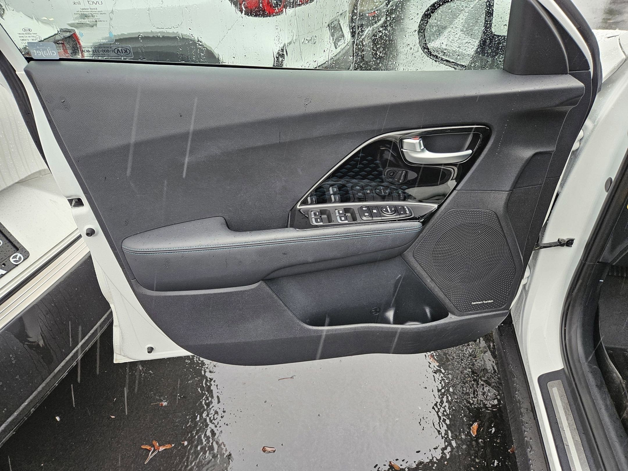 2019 Kia Niro EV EX Premium