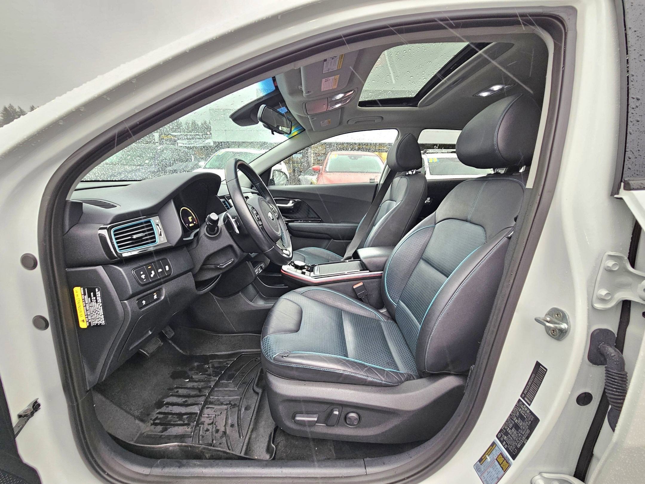 2019 Kia Niro EV EX Premium