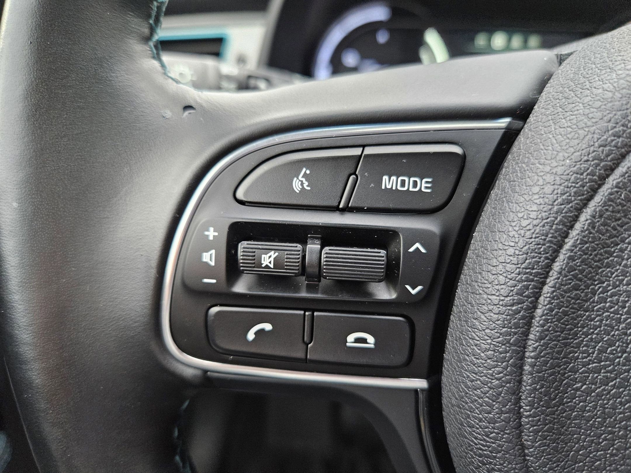 2019 Kia Niro EV EX Premium