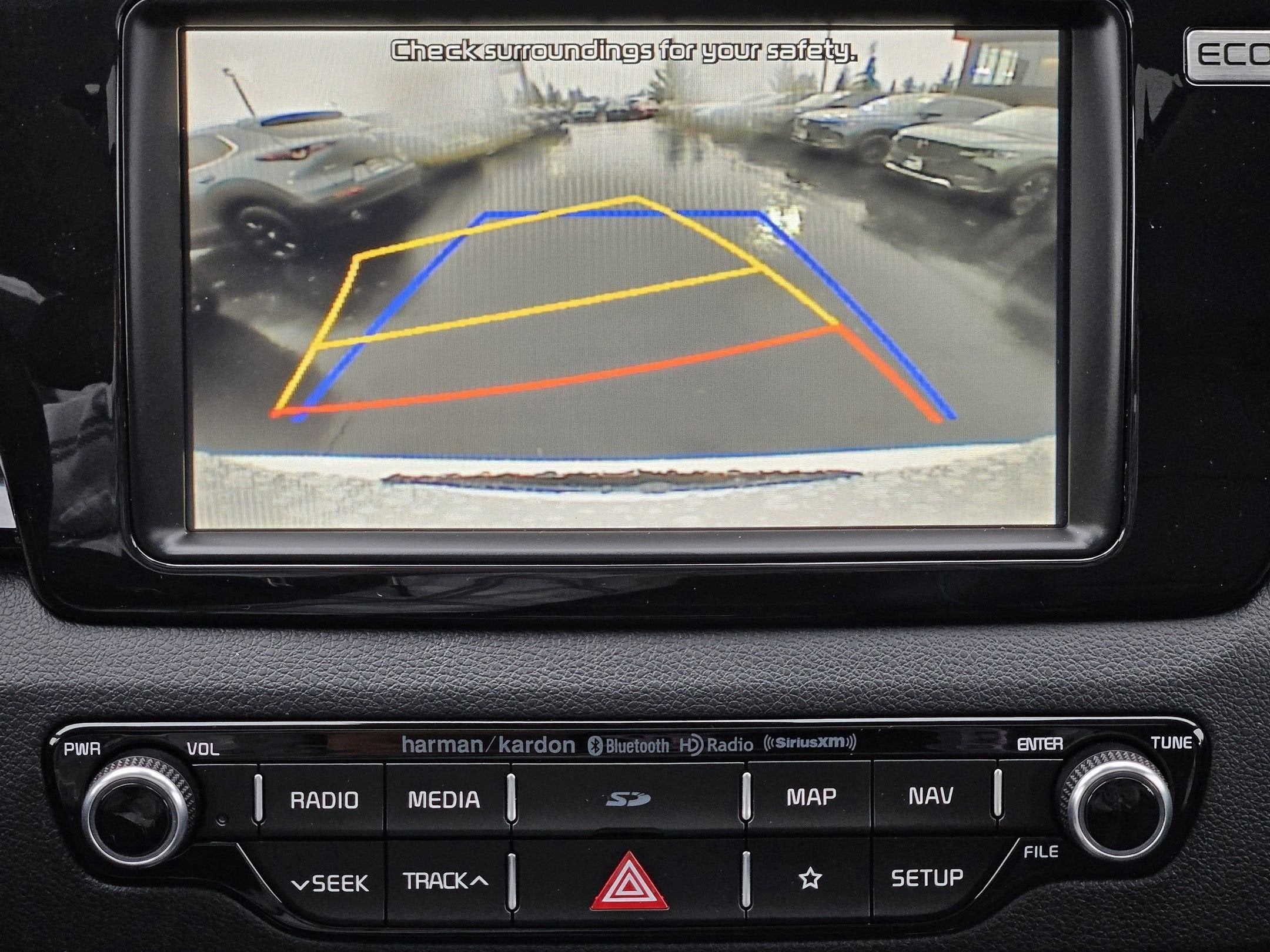 2019 Kia Niro EV EX Premium