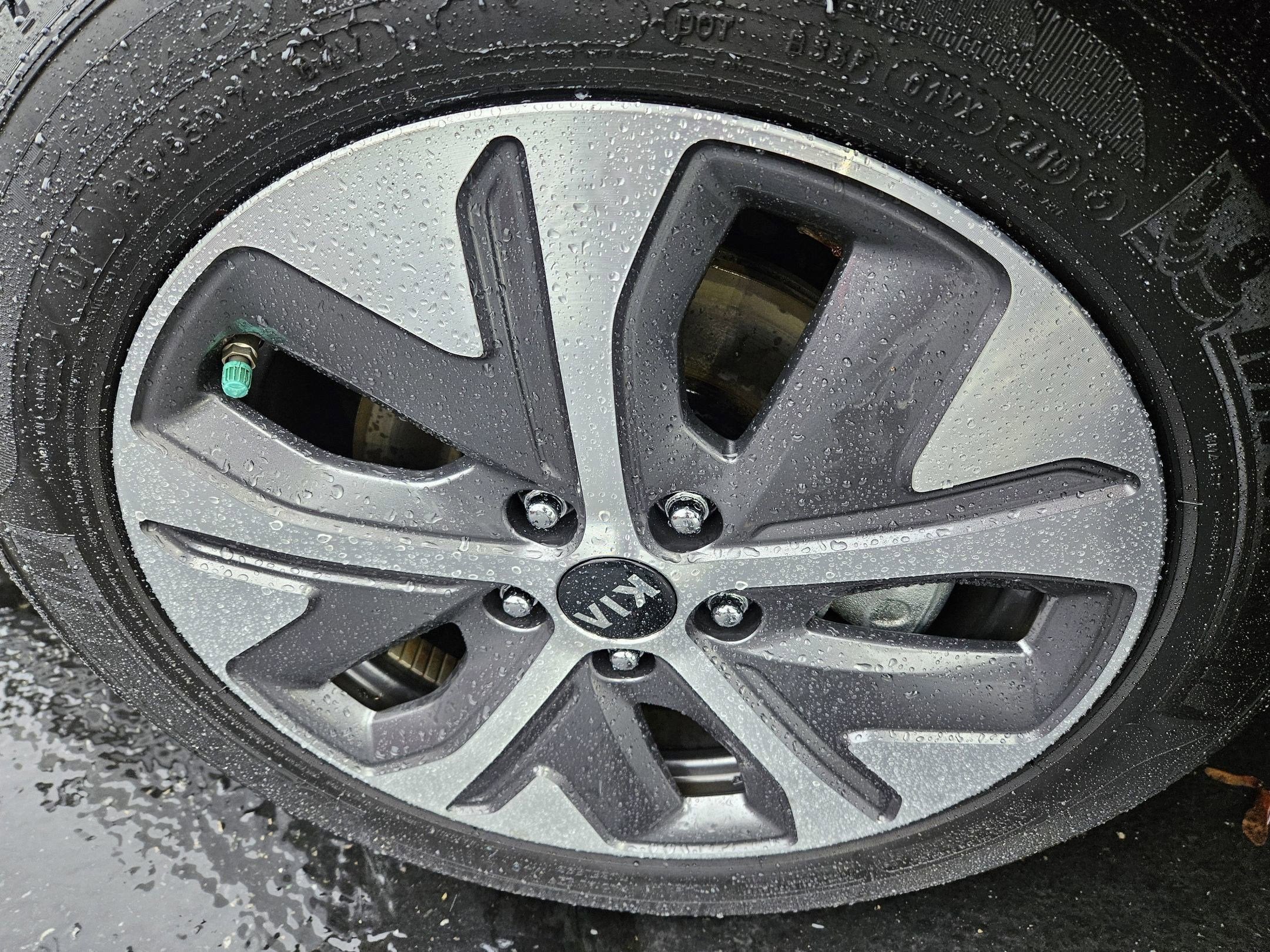 2019 Kia Niro EV EX Premium