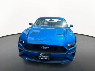 2019 Ford Mustang EcoBoost