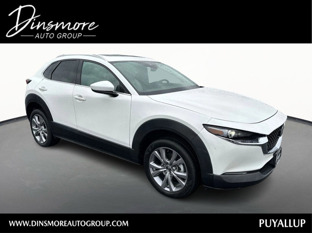 2022 Mazda Mazda CX-30 2.5 S Premium AWD
