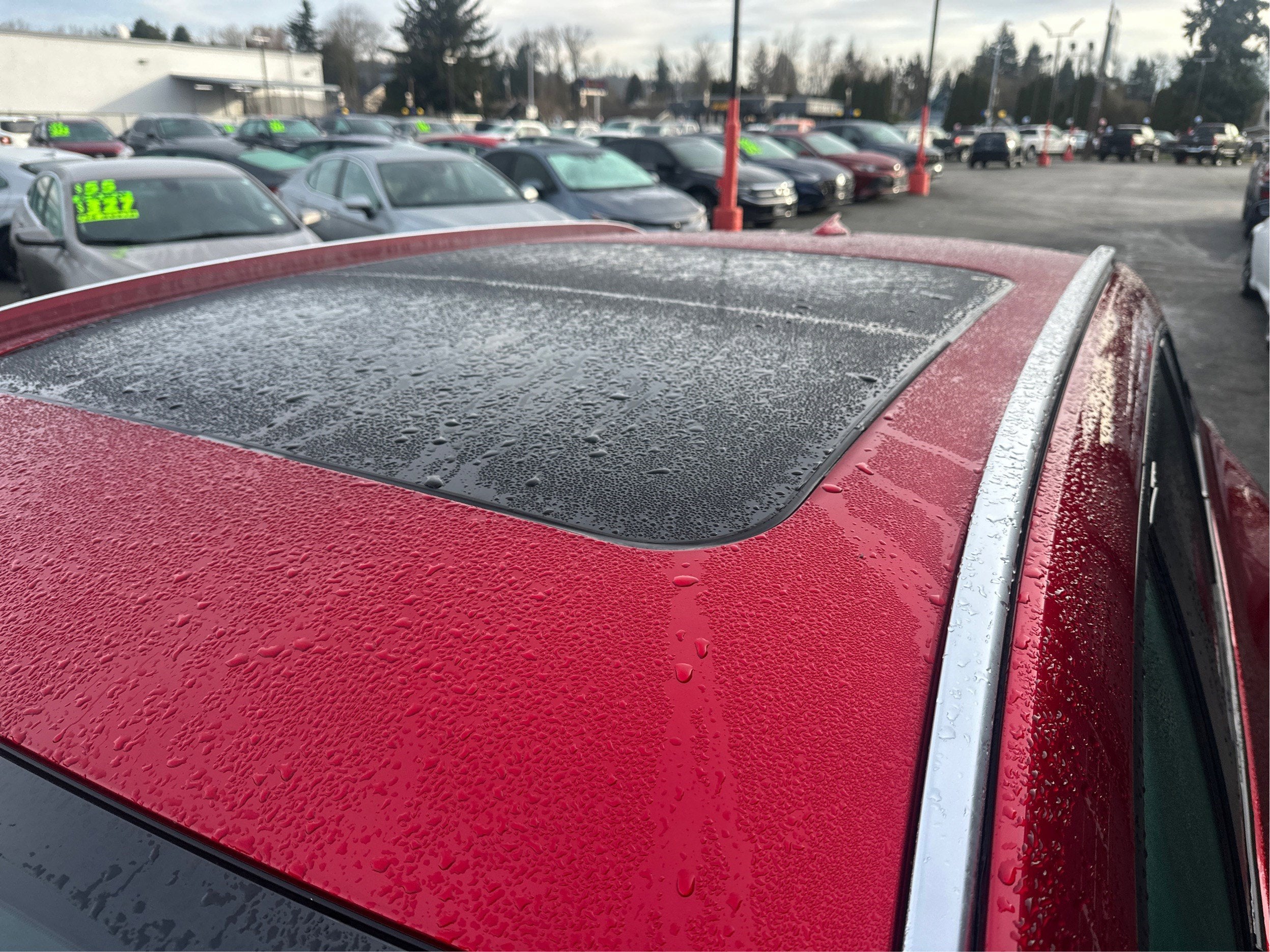 2025 Mazda Mazda CX-50 2.5 S Premium AWD