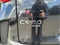 2025 Mazda Mazda CX-50 Preferred AWD
