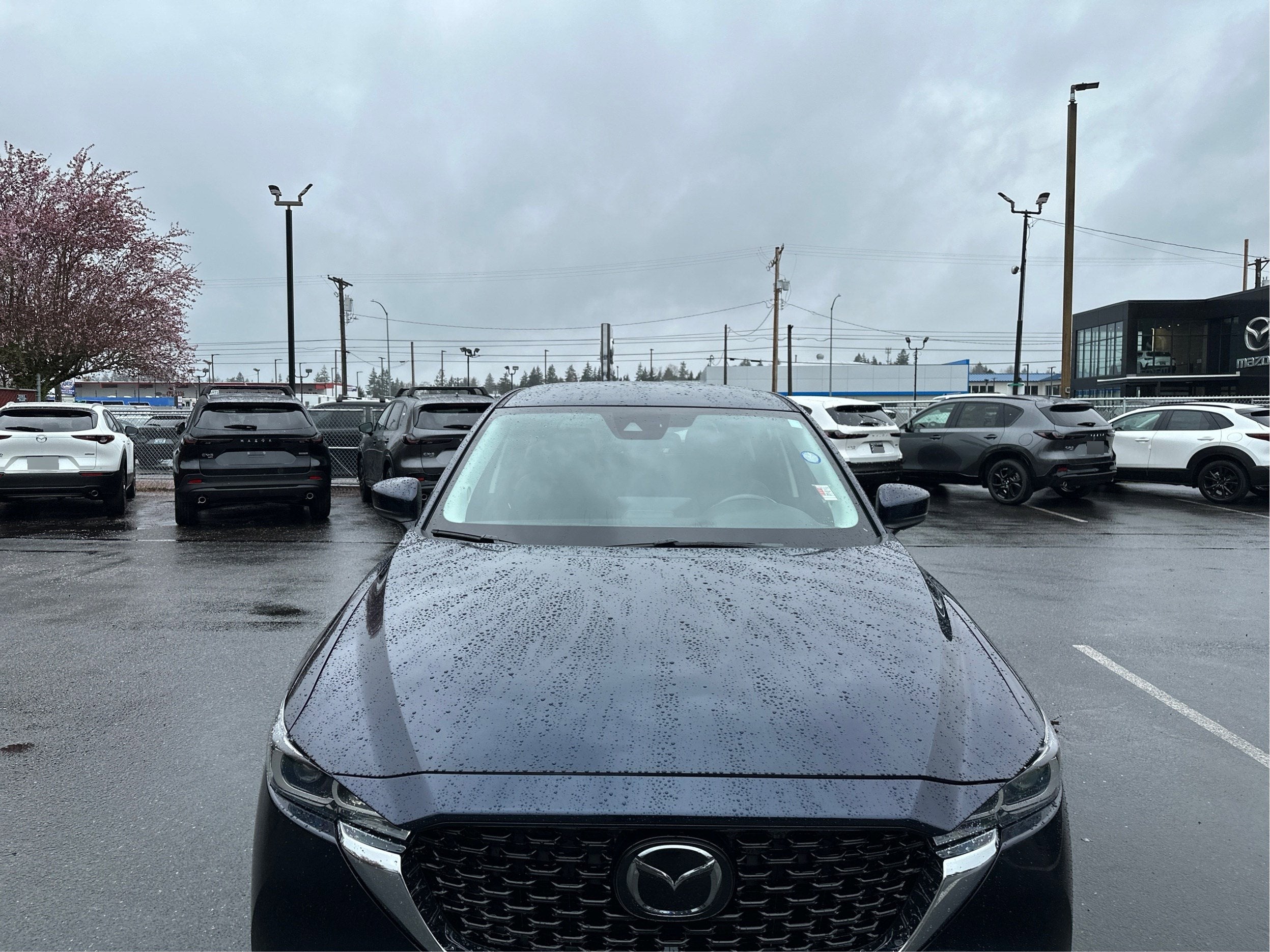 2022 Mazda Mazda CX-5 Select AWD