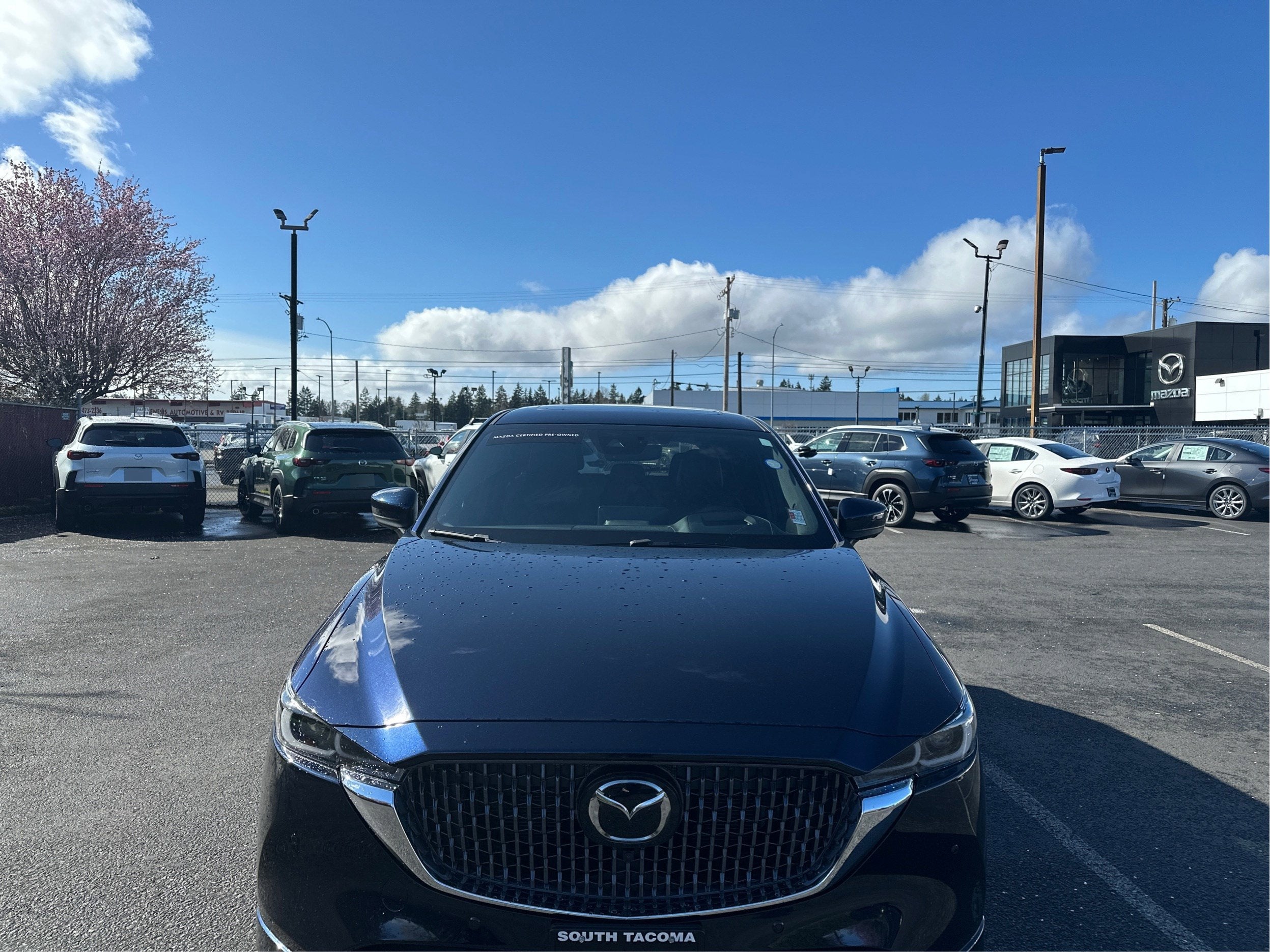 2025 Mazda Mazda CX-5 2.5 Turbo Signature AWD