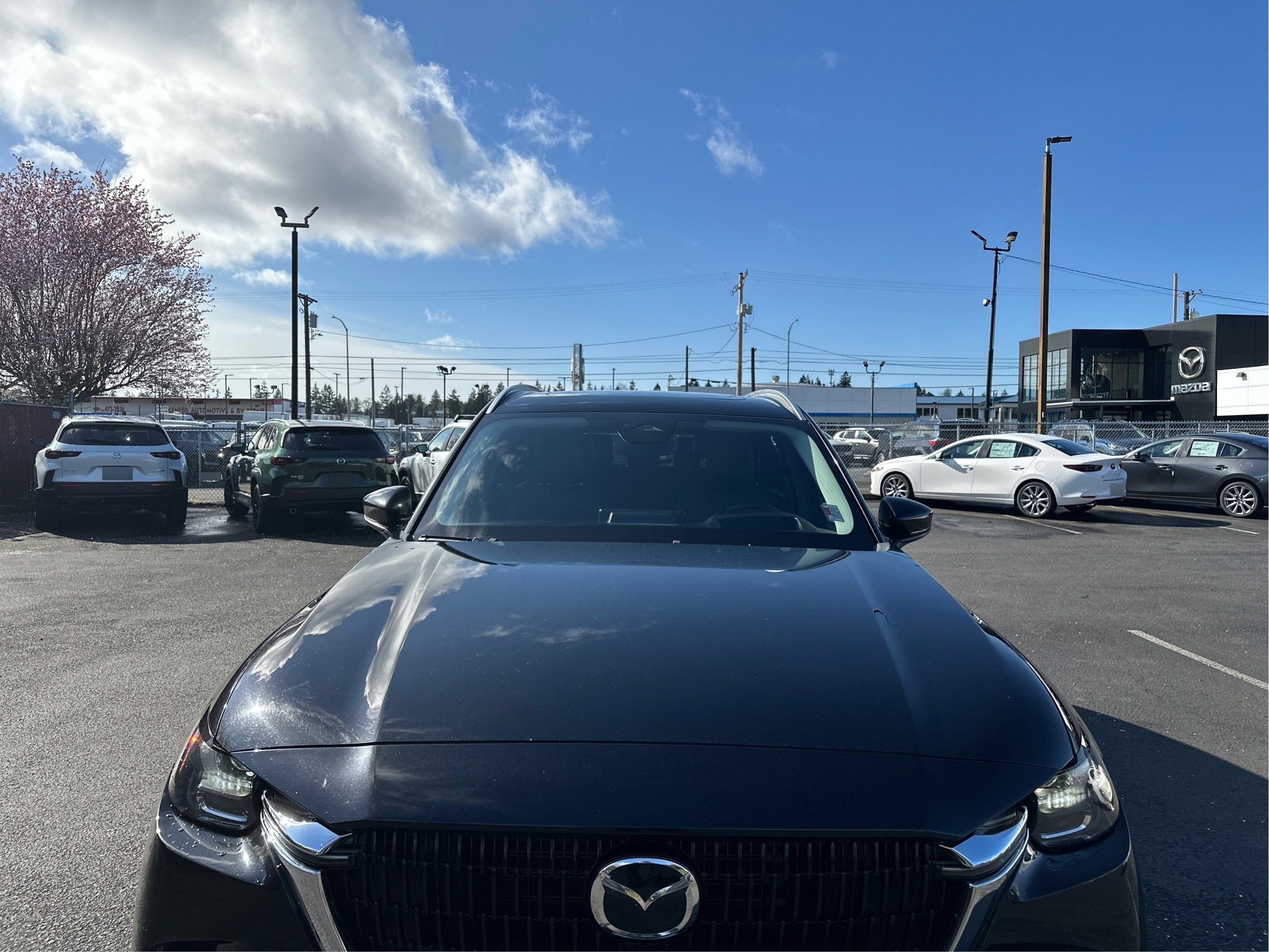2024 Mazda Mazda CX-90 3.3 Turbo Preferred Plus AWD